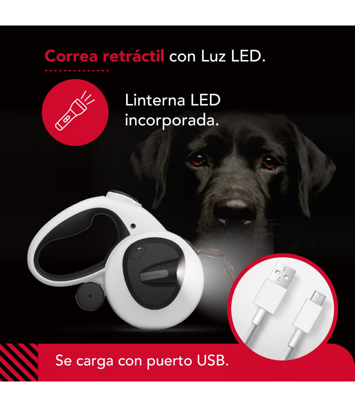 Correa luminosa Thor USB Light Leash Plus Thorben