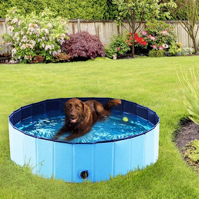 Piscina plegable para mascotas